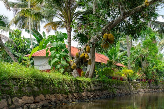 Explore the lush tropical landscape along a canal in Kuttanad, Kerala, with jackfruit trees and traditional houses.