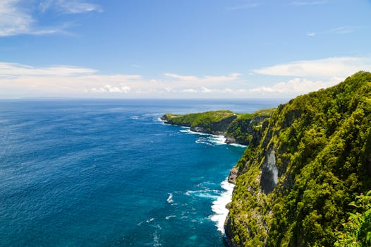 Breathtaking view of lush cliffs meeting blue ocean waters in Bali, Indonesia.