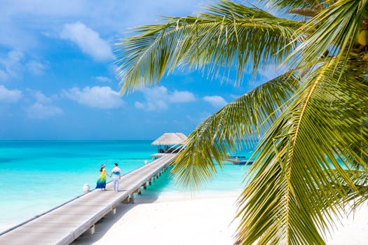 Idyllic view of a tropical beach with palm trees, a wooden jetty, and turquoise sea under a clear blue sky.